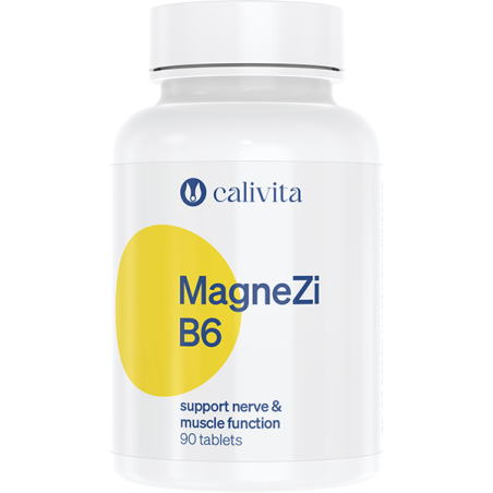 MAGNEZIB6  |90 tab